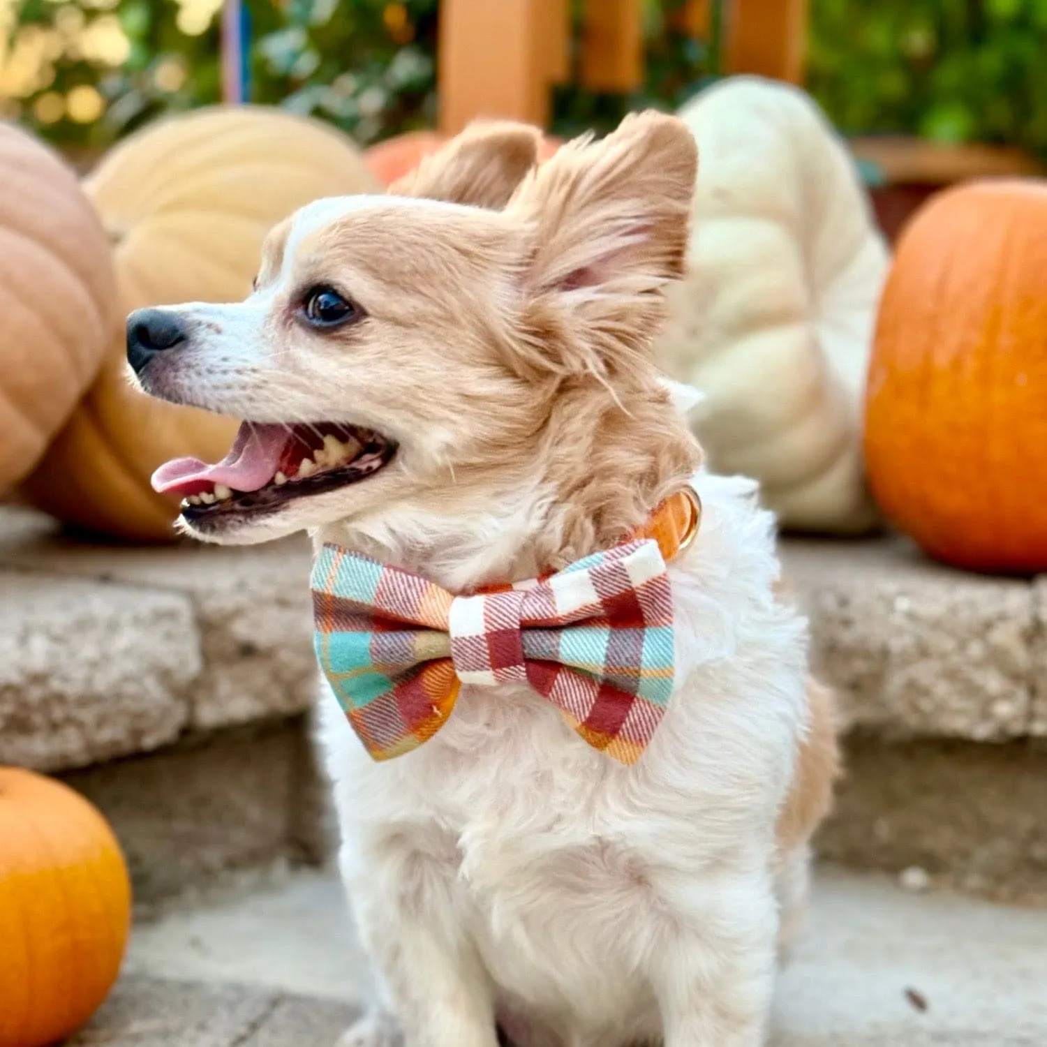 Autumn Plaid Flannel Dog Bow Tie