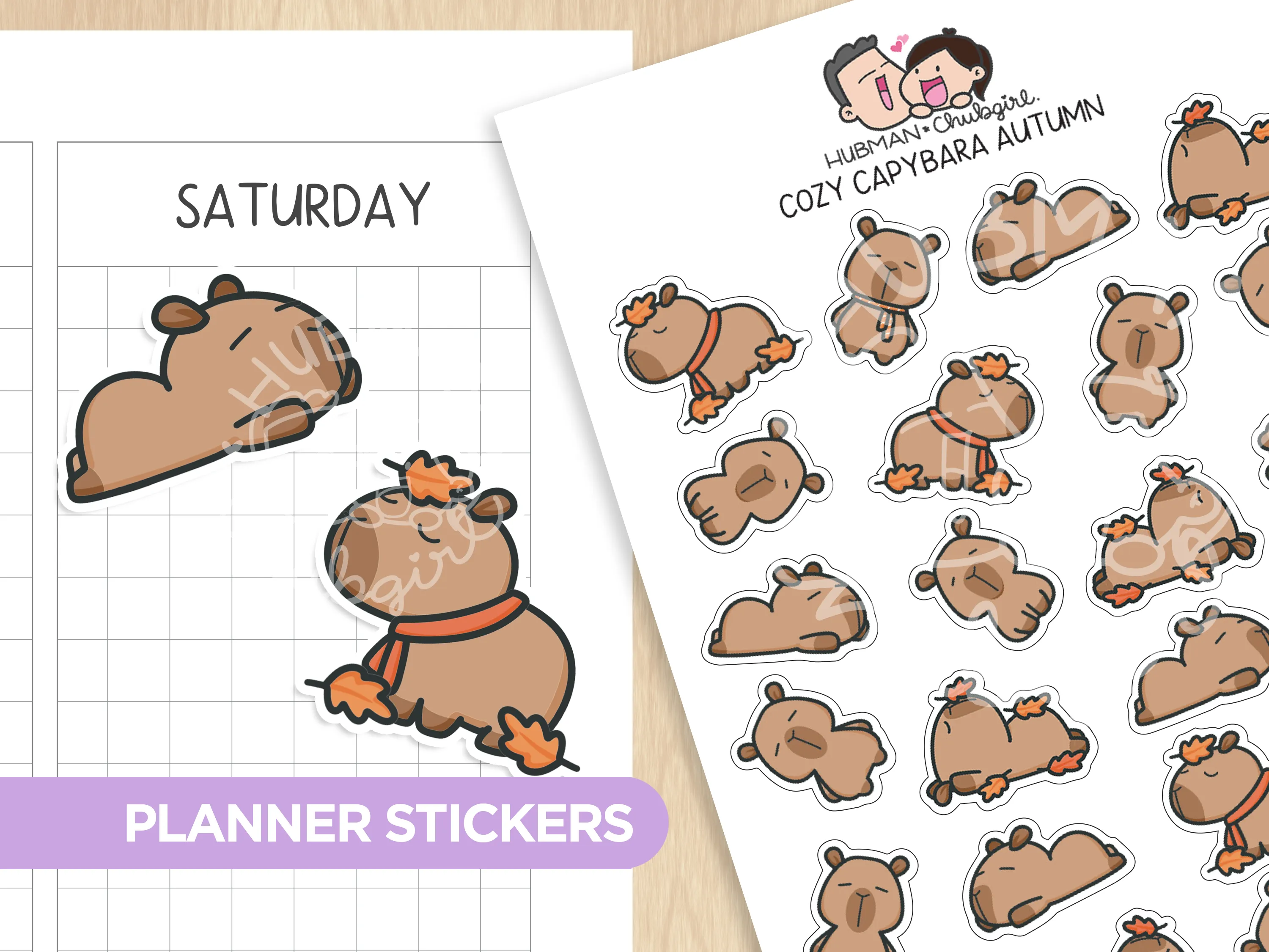 Cozy Capybara Autumn Planner Stickers