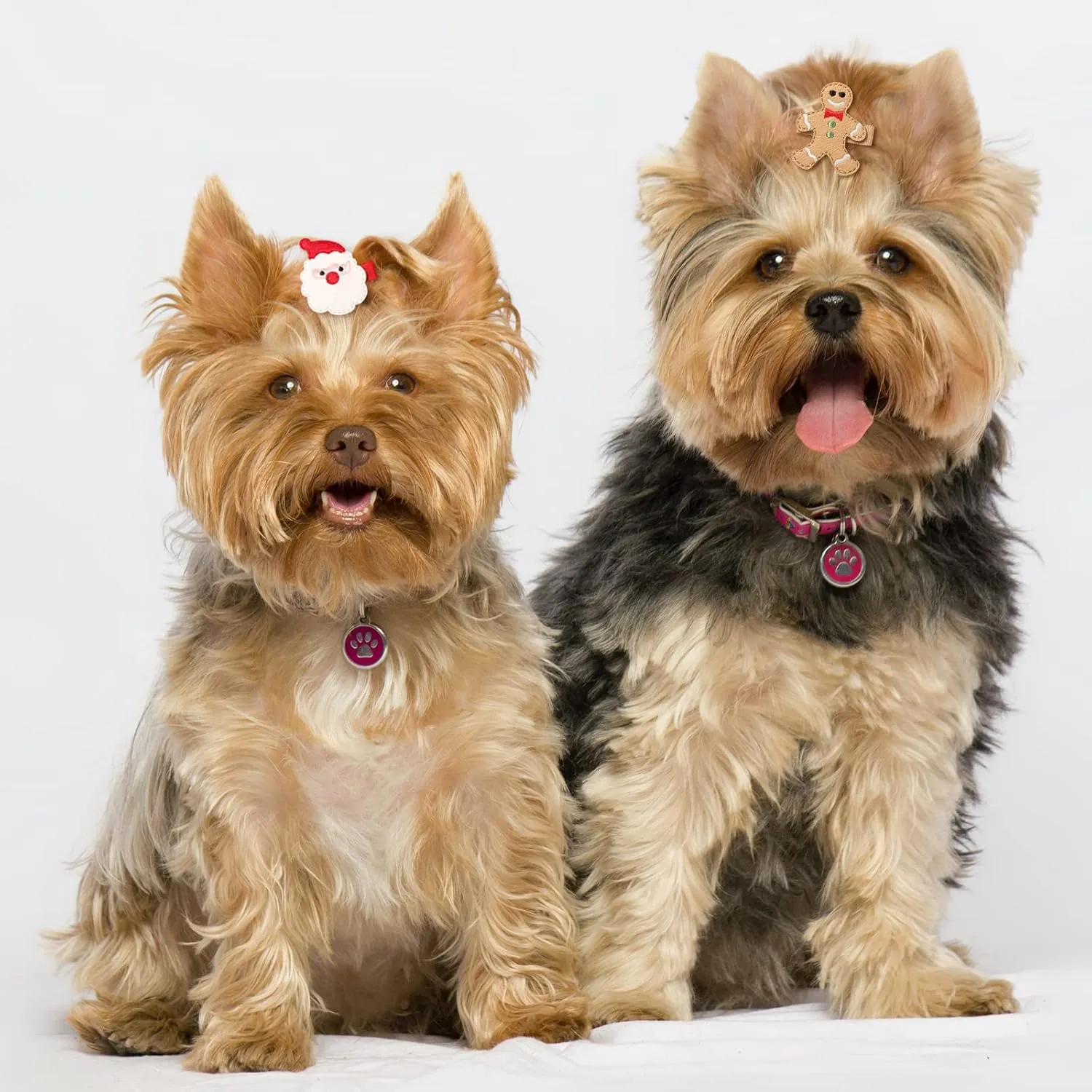 Holiday Festive Hair Clips